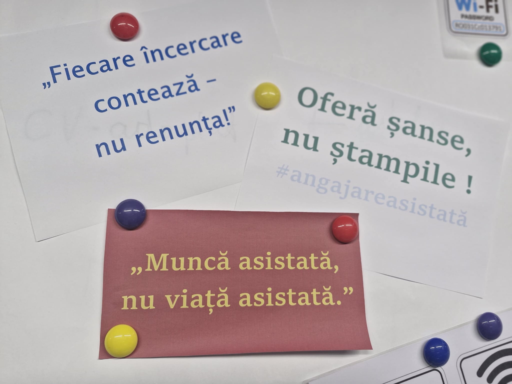 0c91c911-e9eb-4953-8ba1-456684433638