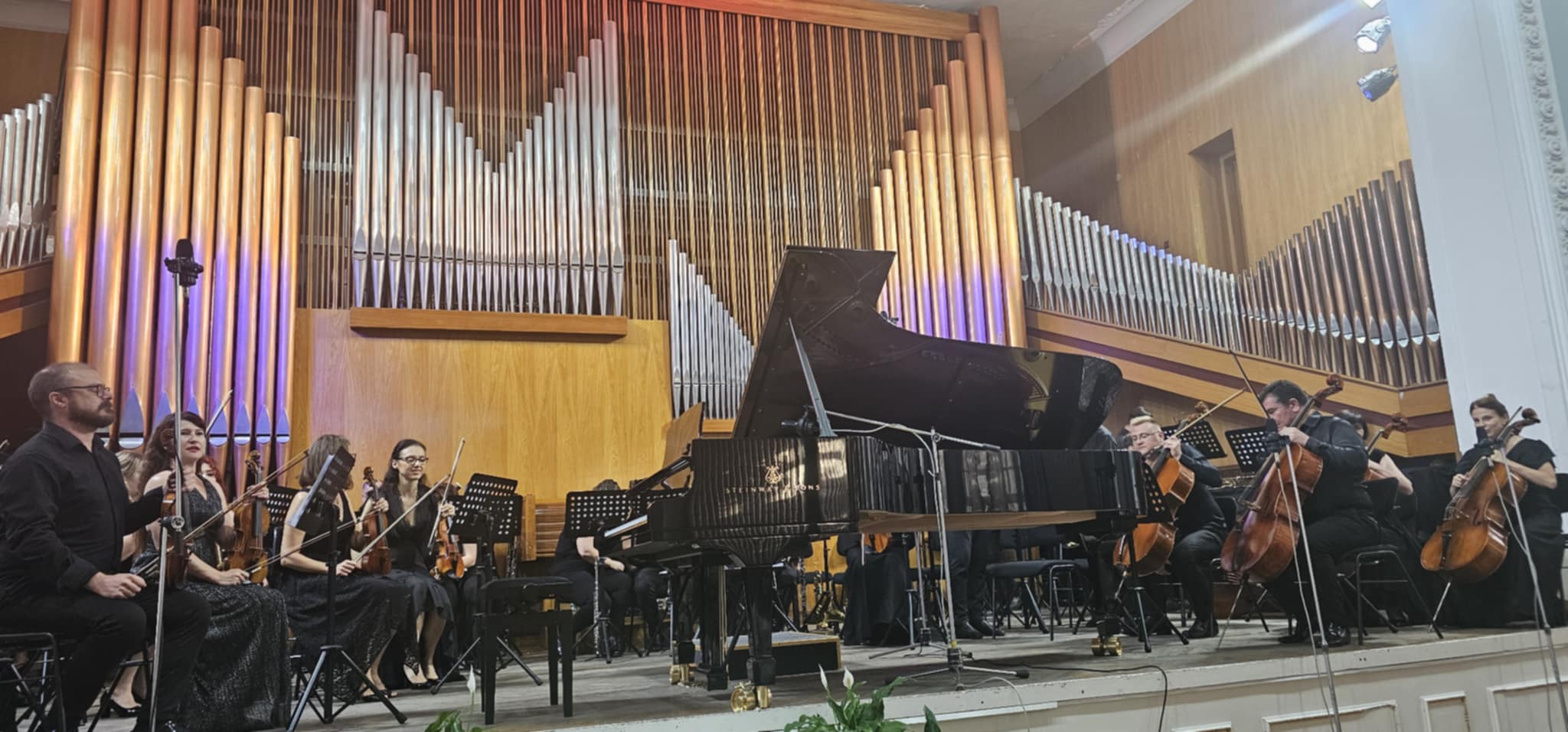 d1dd5619-e55c-4143-9e72-161da35a6e37