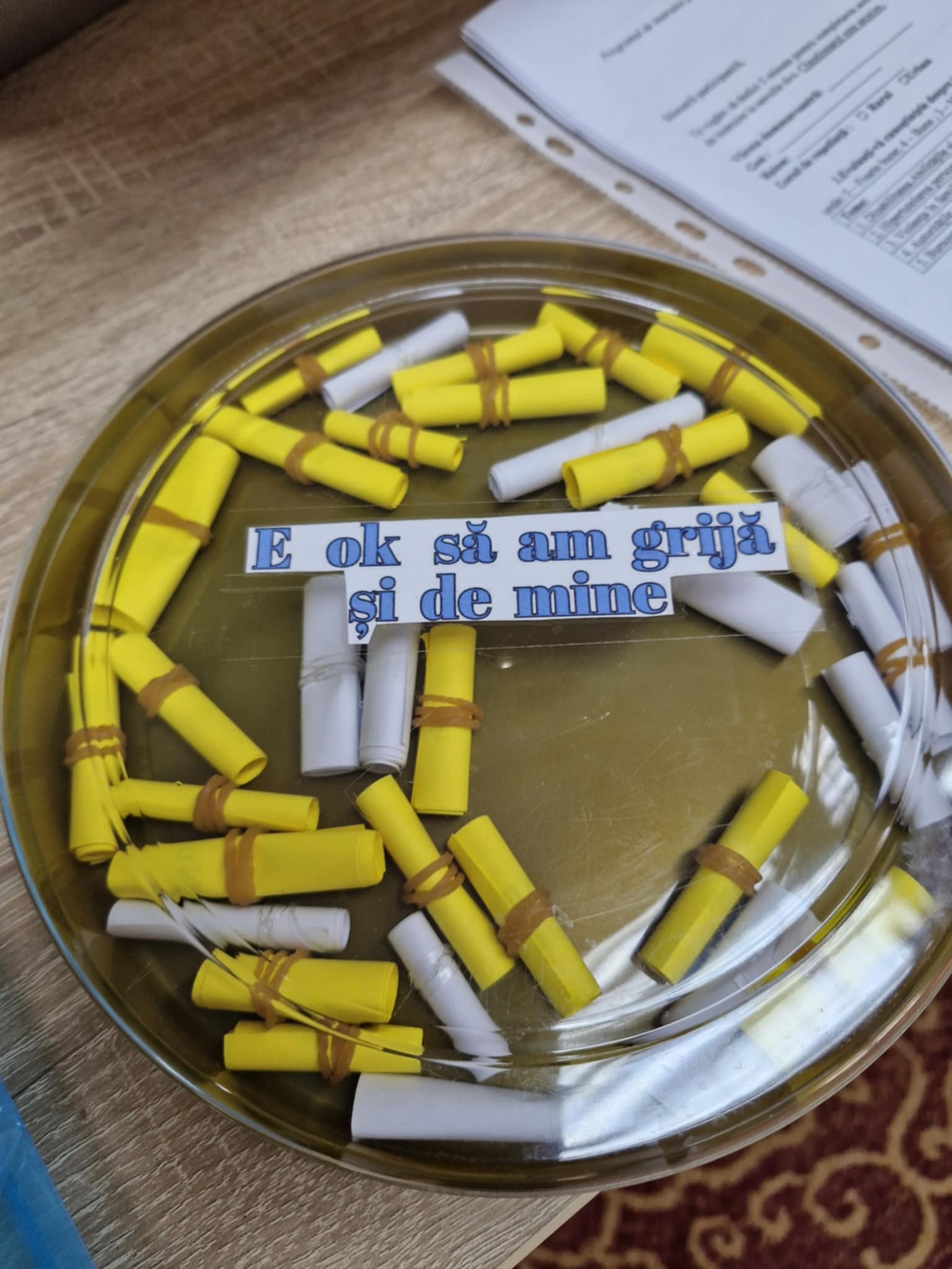 +51670b5f-fbcc-465c-a0ac-bfbb6c5862fb